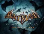 Batman Arkham Asylum Game of the Year Edition (steam)