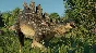 Jurassic World Evolution 2: Early Cretaceous Pack DLC