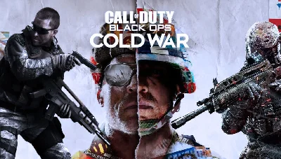 Call of Duty: Black Ops Cold War (PS5/ENG/RUS) Offline
