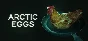 Arctic Eggs 💎 АВТОДОСТАВКА STEAM GIFT РОССИЯ