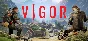 Vigor - Reinforcements Pack🔸STEAM RU⚡️AUTO