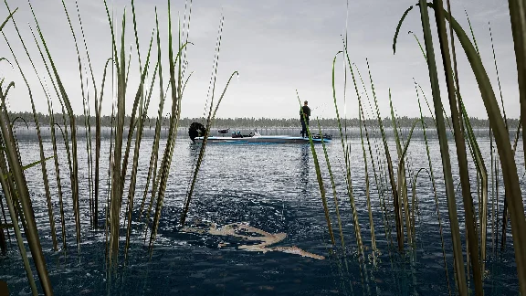 Fishing Sim World Pro Tour Lake Dylan (steam key) DLC