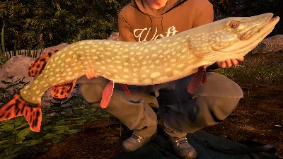 Fishing Sim World Pro Tour Jezioro Bestii (steam) DLC