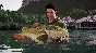 Fishing Sim World Pro Tour Giant Carp Pack (steam) DLC