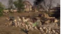 Men of War II - Deluxe Edition 🔑STEAM KEY🔥RUSSIA +CIS