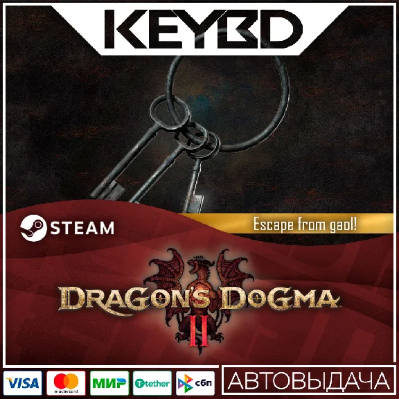 Dragon´s dogma 2: Makeshift Gaol Key