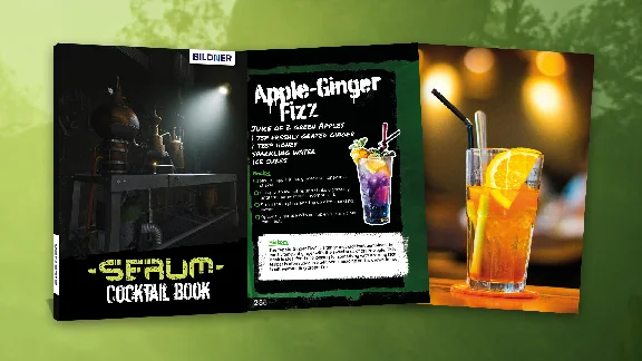 Serum - Cocktail Book DLC🔸STEAM Russia⚡️AUTO DELIVERY