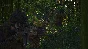 💥Squad {Steam Gift/RU/CIS} + Gift🎁