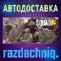 💥Squad {Steam Gift/RU/CIS} + Gift🎁