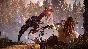HORIZON ZERO DAWN COMPLETE EDITION STEAM ГАРАНТИЯ