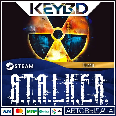 S.T.A.L.K.E.R.: Bundle · Steam Gift 🚀AUTODELIVERY 💳0%