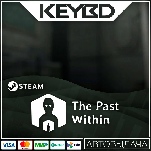 The Past Within Steam GIft 🚀 АВТО 💳0% Карты