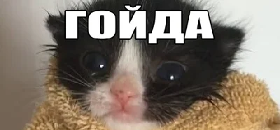 МЕМОЛОГИЯ: ЕГЭ ПО МЕМАМ 💎 АВТОДОСТАВКА STEAM РОССИЯ