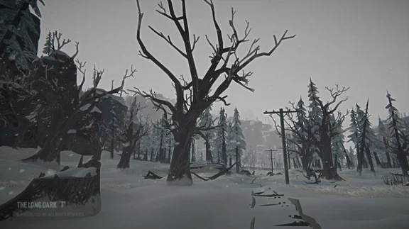 ⚡️The Long Dark: Tales from the Far Territory | АВТО RU