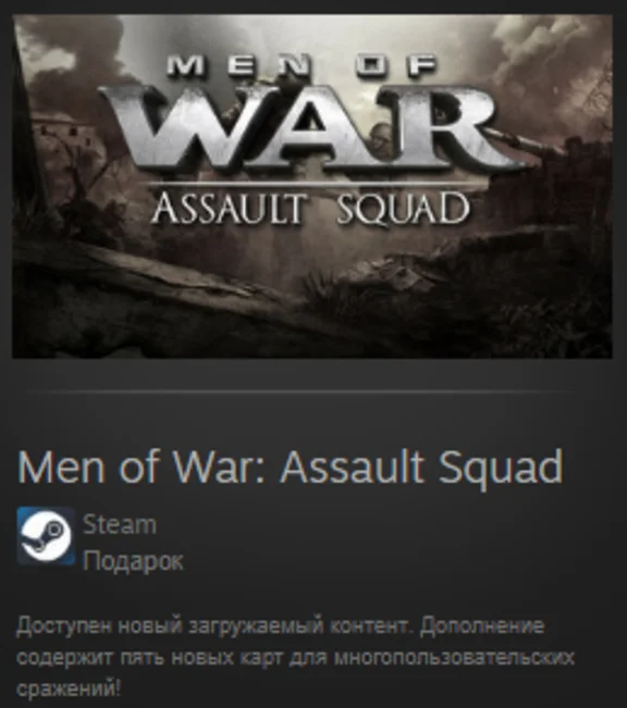 Men of War: Assault Squad STEAM GIFT GLOBAL REG FREE