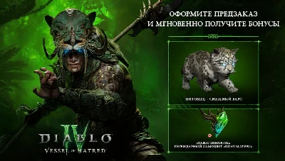 ✅😈 DIABLO IV:Vessel of Hatred МОМЕНТАЛЬНО⚡️Battle net✅