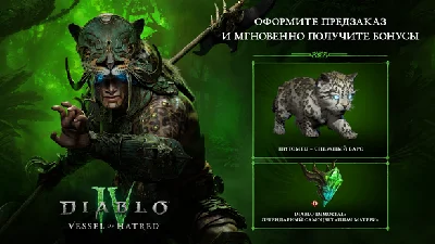 ✅ Diablo IV: Vessel of hatred BATTLE.NET ⭐ ALL VERSIONS