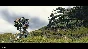 ✅DEATH STRANDING DIRECTOR´S CUT 🌍 STEAM•RU|KZ|UA 🚀