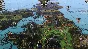✅Medieval Kingdom Wars ⭐Steam\RegionFree\Key⭐ + Bonus