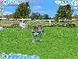 Petz Catz 2 (Steam Gift Region Free / ROW)