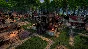 El Dorado: The Golden City Builder * STEAM RU ⚡