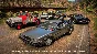 Forza Horizon 5 Universal Icons Car Pack * RU/CIS/TR/AR