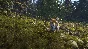 theHunter: Call of the Wild Sundarpatan Hunting Reserve
