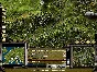 Railroad Tycoon II - Platinum 🔑STEAM KEY ✔️GLOBAL