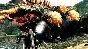 ✅Lost Planet 2 ⭐Steam\RegionFree\Key⭐ + Bonus