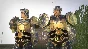 DW 9 Empires - Unisex Custom Black Tortoise Armor Set