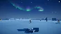 Penguin Helper 💎 АВТОДОСТАВКА STEAM GIFT РОССИЯ