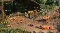 Planet Zoo: Barnyard Animal Pack (Steam Gift Россия)