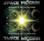 ✅Space Pilgrim Episode III: Delta Pavonis⚡Steam\РФ+Мир⭐