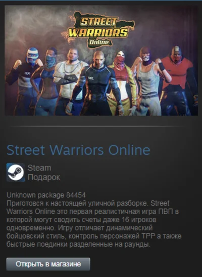 Street Warriors Online (Steam Gift Region Free / ROW)