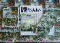 Sacred 3 + 3 DLC (Photo CD-Key) STEAM + Gifts