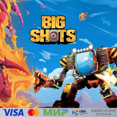 🔥 BigShots для Pico VR