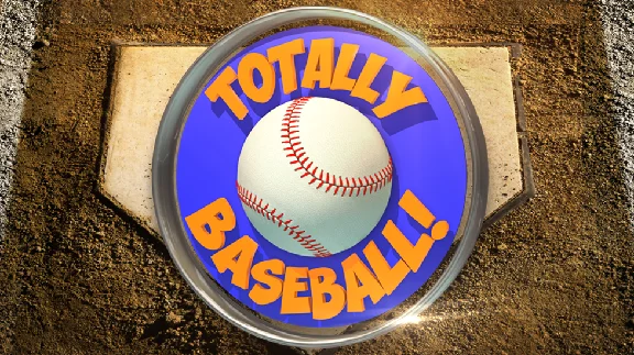🔥 TOTALLY BASEBALL for Pico VR
