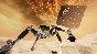 🔥 Space Guardian for Pico VR