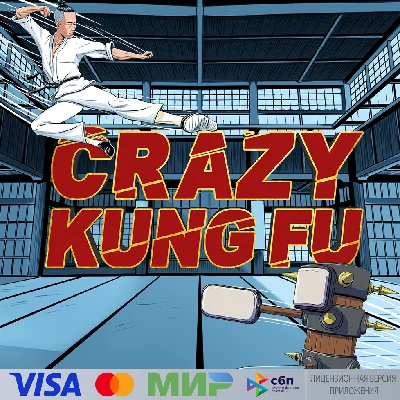 🔥 Crazy Kung Fu for Pico VR