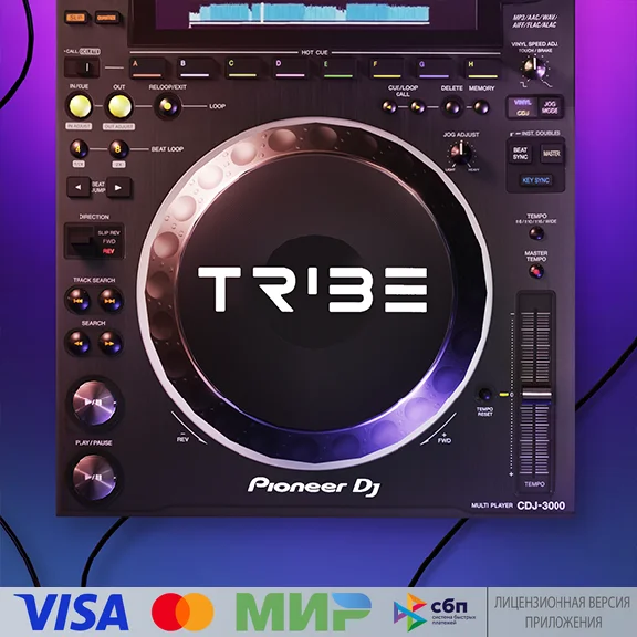 🔥 Tribe XR | DJ in VR for Pico VR