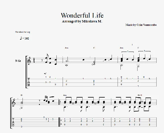 Wonderful Life