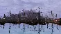 Renaissance Kingdom Wars * STEAM RU ⚡ АВТО 💳0%