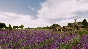 ✅Railway Empire France ⭐Steam\РФ+Весь Мир\Key⭐ + Бонус