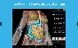 Human Anatomy Atlas 2025 Complete 3D⭐Microsoft Store .