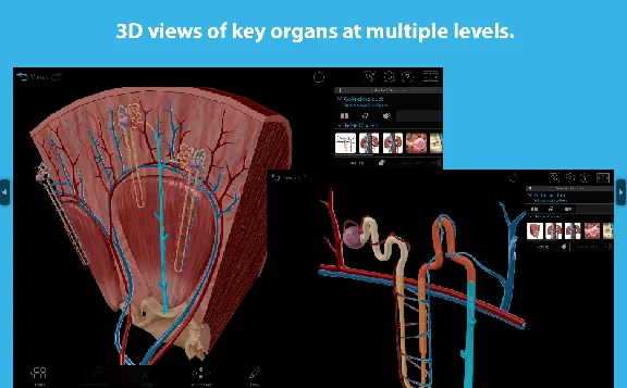 ⭐Human Anatomy Atlas 2025 Complete 3D⭐Microsoft Store .