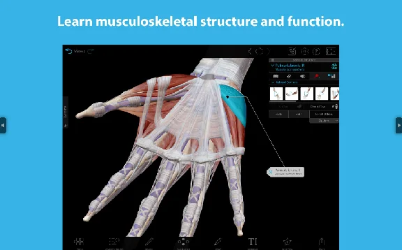 ⭐Human Anatomy Atlas 2025 Complete 3D⭐Microsoft Store .