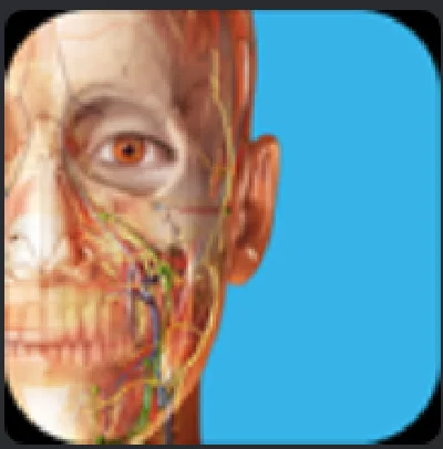 ⭐Human Anatomy Atlas 2025 Complete 3D⭐Microsoft Store .