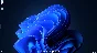 ☑️⭐Transparent Taskbar+ Microsoft Store⭐☑️