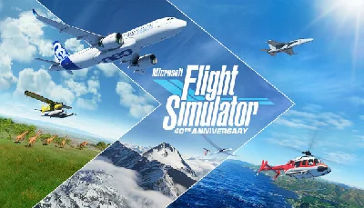 Microsoft Flight Simulator⚠️NOT GAMEPASS⚠️
