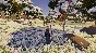 Harvest Days: My Dream Farm * STEAM RU ⚡ AUTO 💳0%
